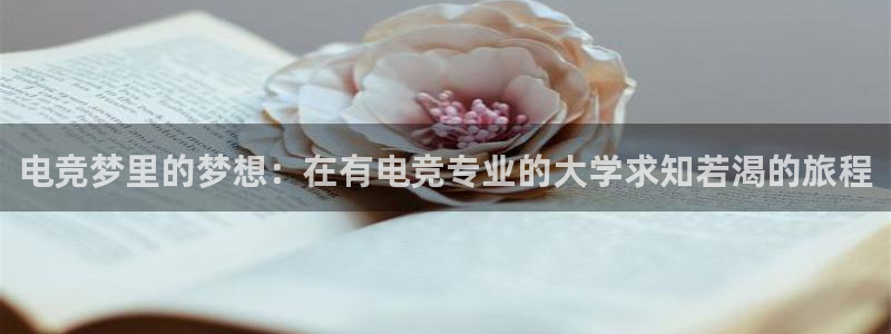 k1电竞俱乐部：电竞梦里的梦想：在有电竞专业的大学求知若渴的旅程
